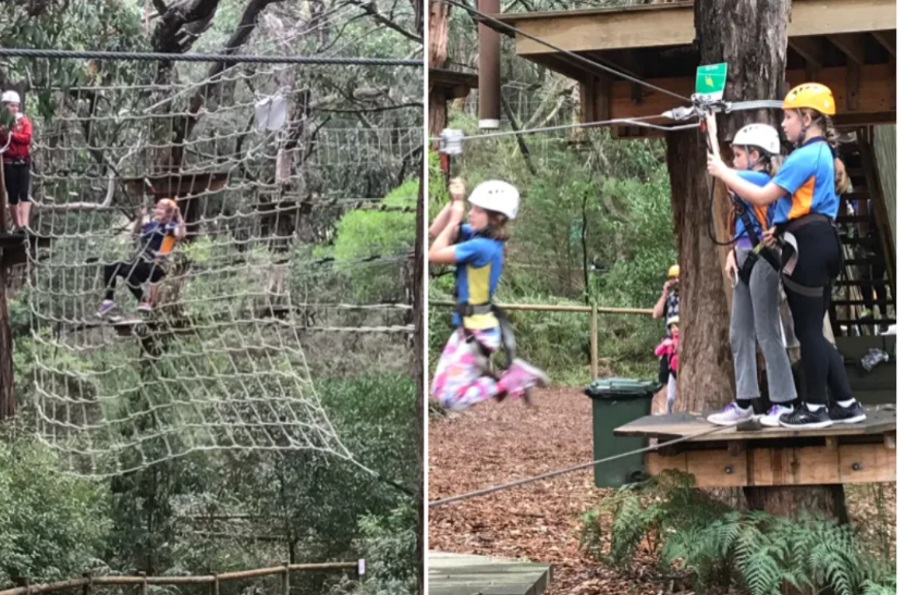 Enchanted Maze High Ropes